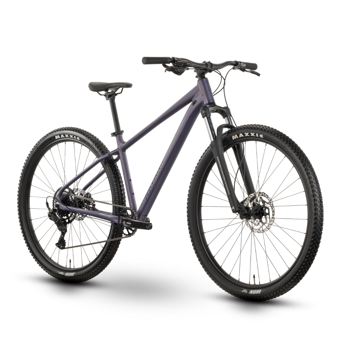 Raymon Nayta Comp - MTB 29" - Lavanda